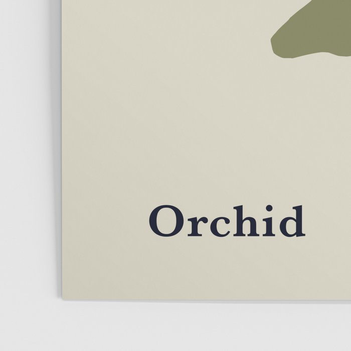 Aquarius Orchid  Poster Gallery Image 3