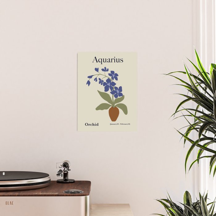 Aquarius Orchid  Poster Gallery Image 2