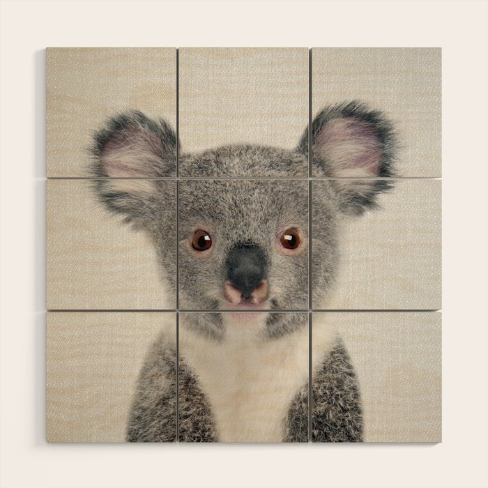 Baby Koala - Colorful Wood Wall Art Gallery Image 1