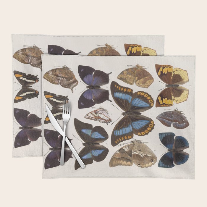 Vintage Scientific Insect Butterfly Moth Biological Hand Drawn Species Art Illustration Placemat Gallery Image 1