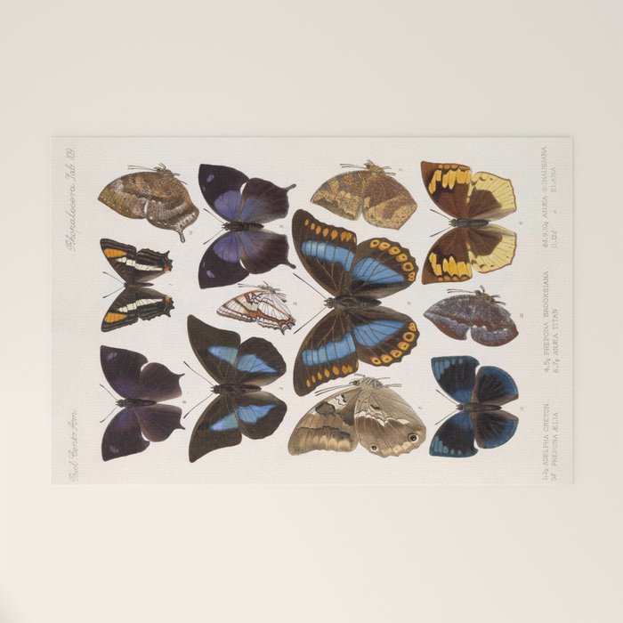Vintage Scientific Insect Butterfly Moth Biological Hand Drawn Species Art Illustration Welcome Mat Gallery Image 1