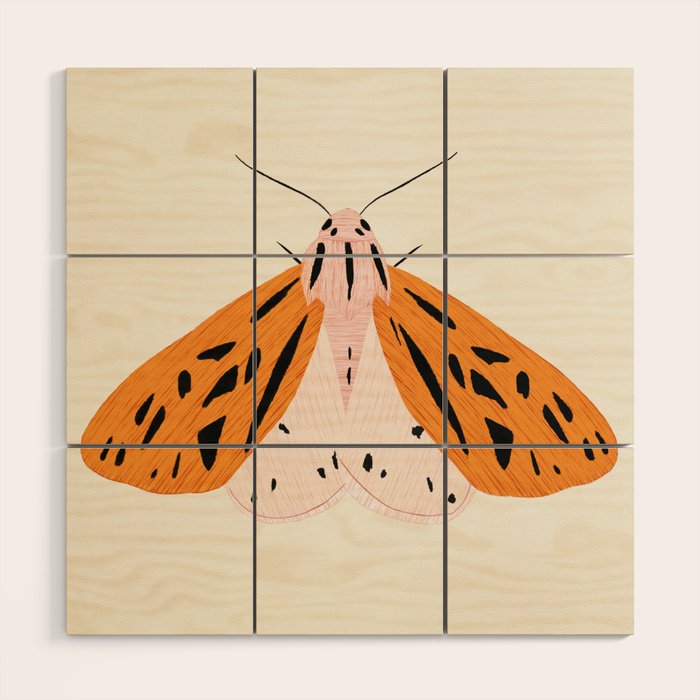 butterfly Wood Wall Art Gallery Image 1
