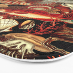 Fish and Corals Bath Mat Gallery Image 3