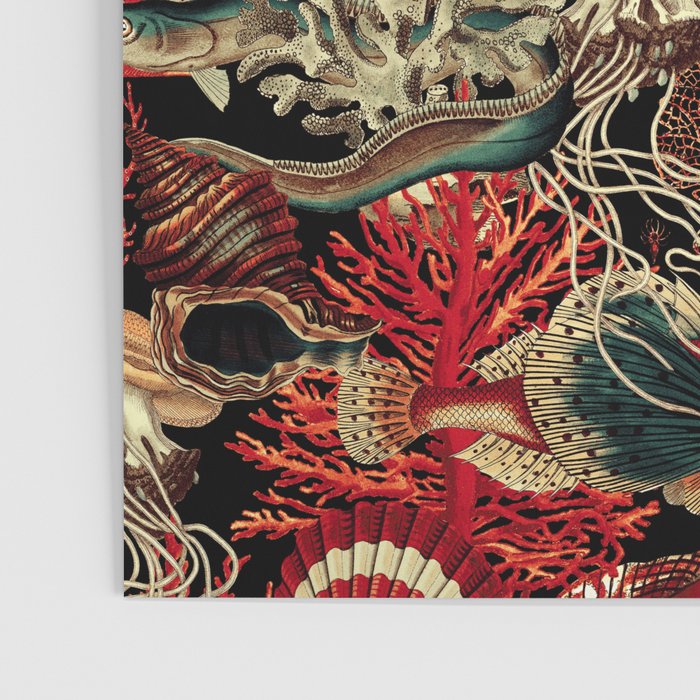 Fish and Corals Poster Gallery Image 3