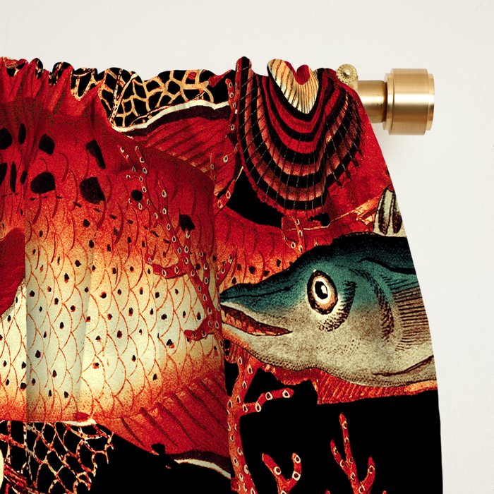 Fish and Corals Window Curtain Gallery Image 2