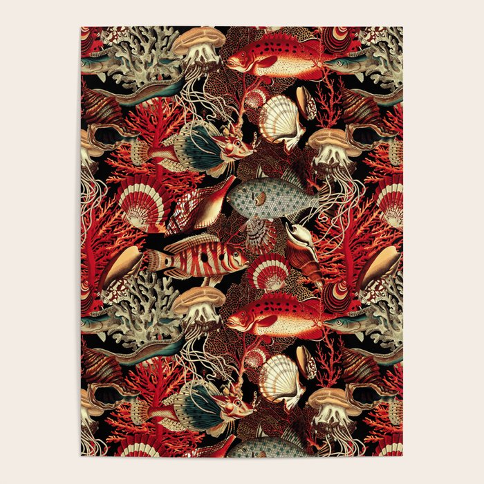 Fish and Corals Poster Gallery Image 1