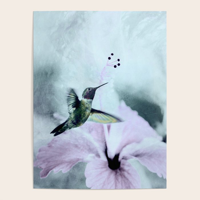 Hummingbird Poster Gallery Image 1