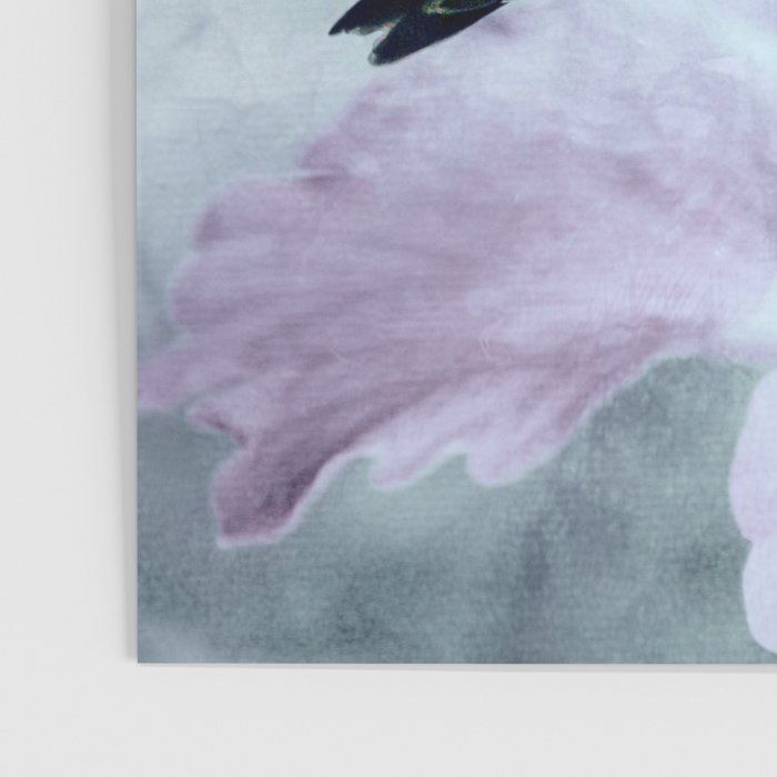 Hummingbird Poster Gallery Image 3