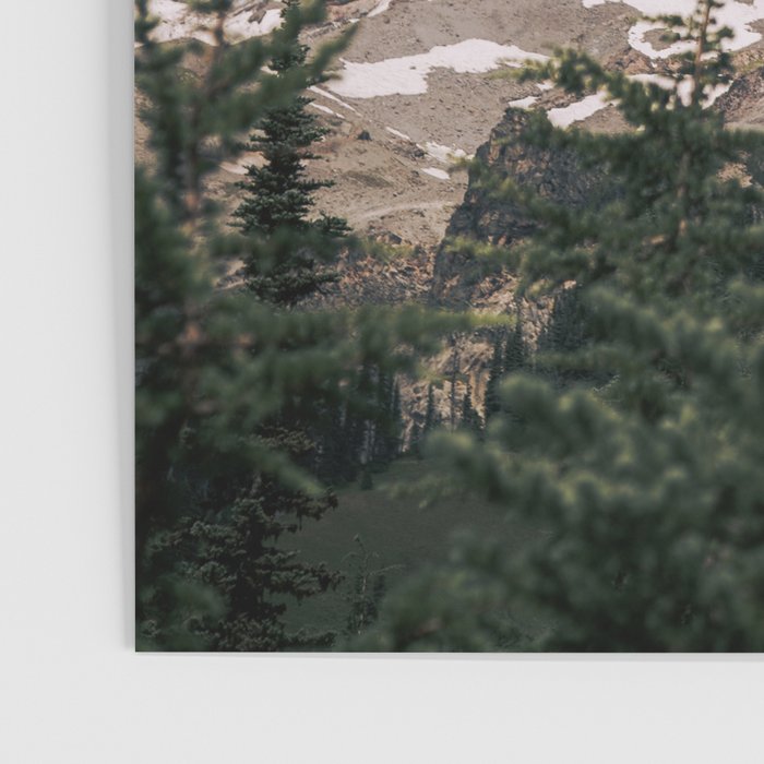Mount Rainier IX Poster Gallery Image 3