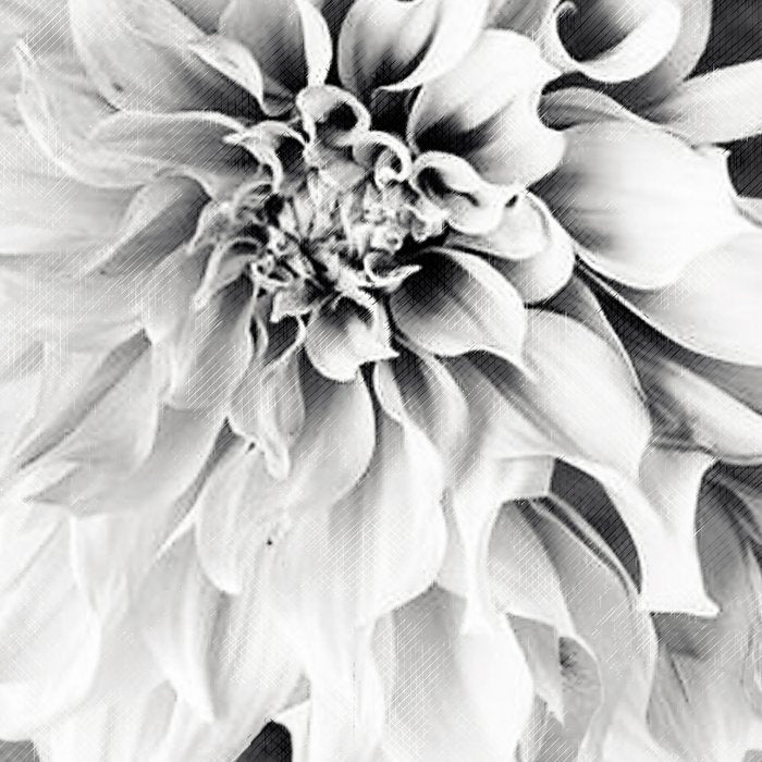 White flower ... Coffee Mug Gallery Image 2