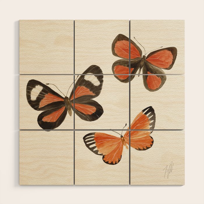 Orange Butterflies Wood Wall Art Gallery Image 1