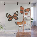 Orange Butterflies Wall Mural Gallery Image 1