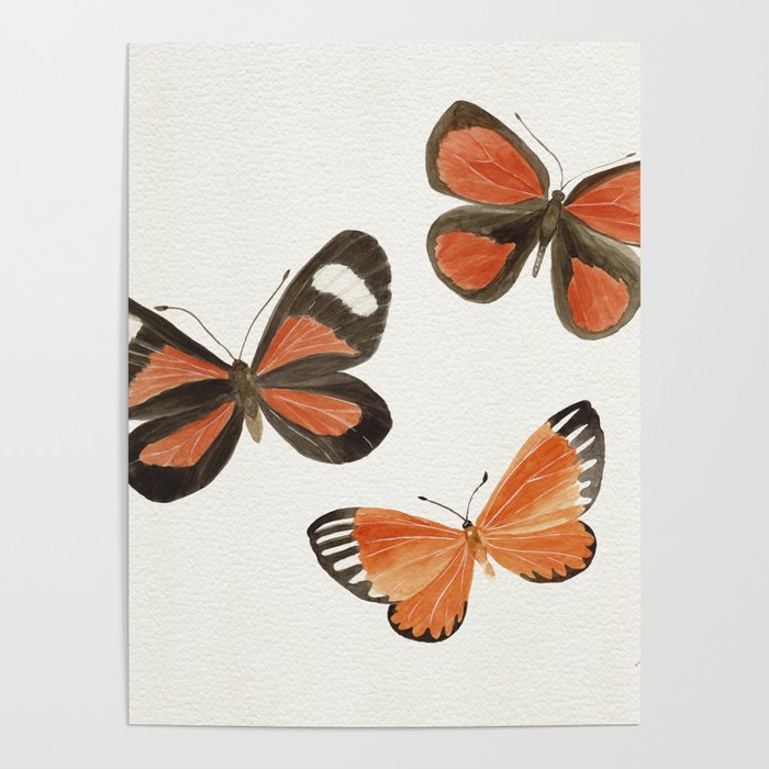 Orange Butterflies Poster Gallery Image 1