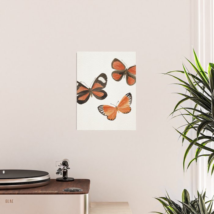 Orange Butterflies Poster Gallery Image 2