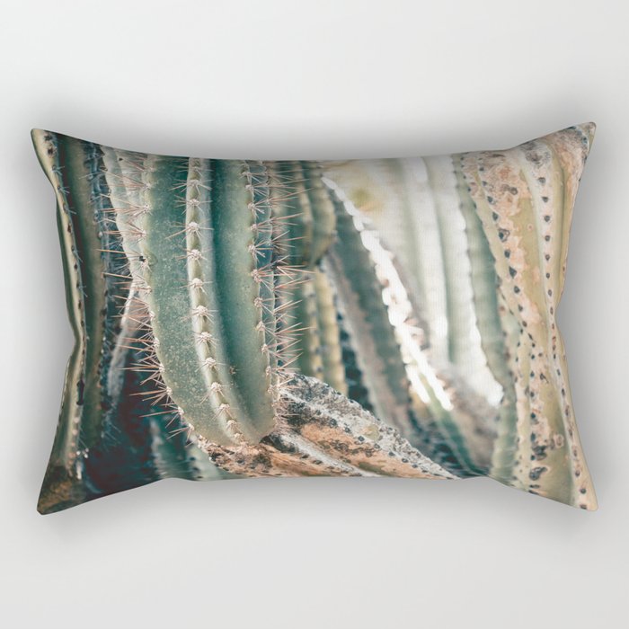 Desert Ombre Rectangular Pillow Gallery Image 1
