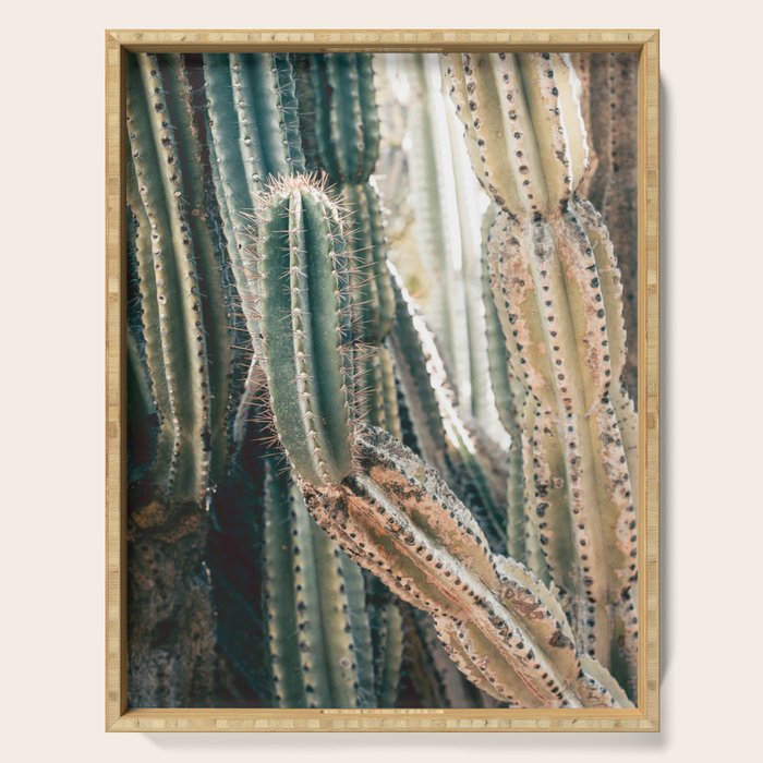 Desert Ombre Serving Tray Gallery Image 1