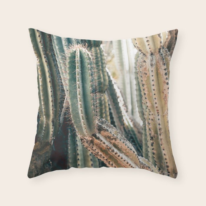 Desert Ombre Throw Pillow Gallery Image 6