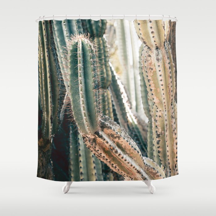 Desert Ombre Shower Curtain Gallery Image 1