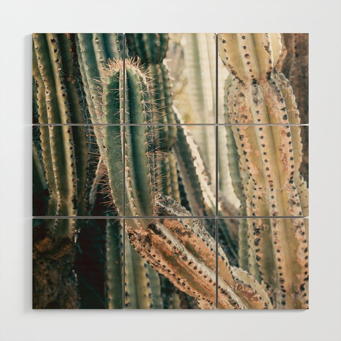 Desert Ombre Wood Wall Art Gallery Image 1