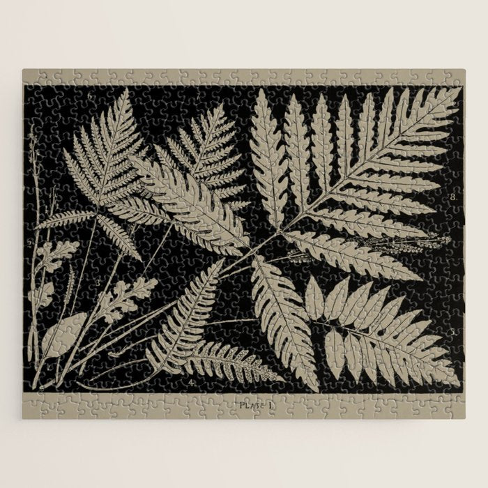 New England Ferns Jigsaw Puzzle Gallery Image 1