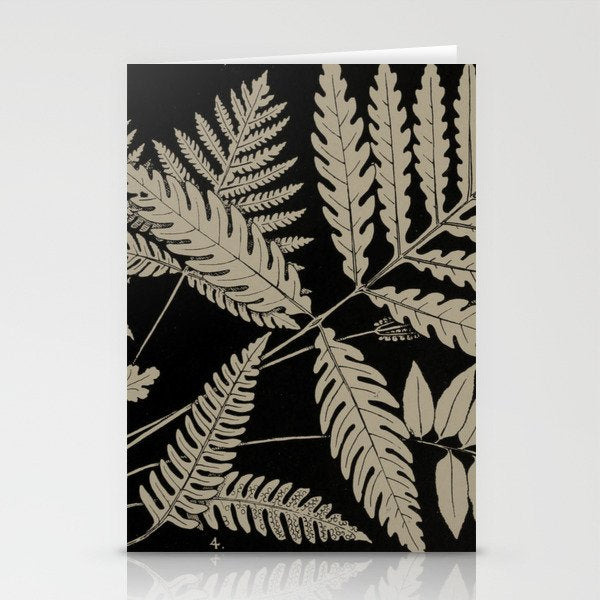 New England Ferns Stationery Card Gallery Image 1