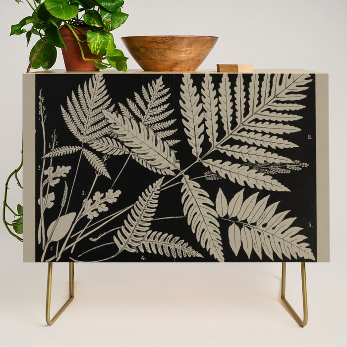 New England Ferns Credenza Gallery Image 1