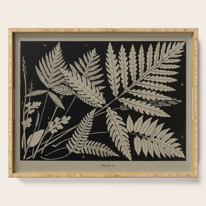 New England Ferns Serving Tray Gallery Image 1