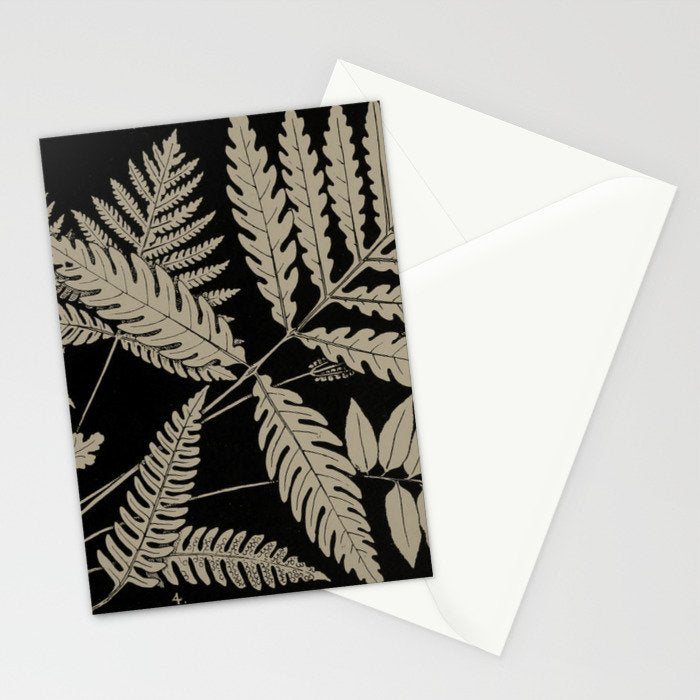 New England Ferns Stationery Card Gallery Image 2