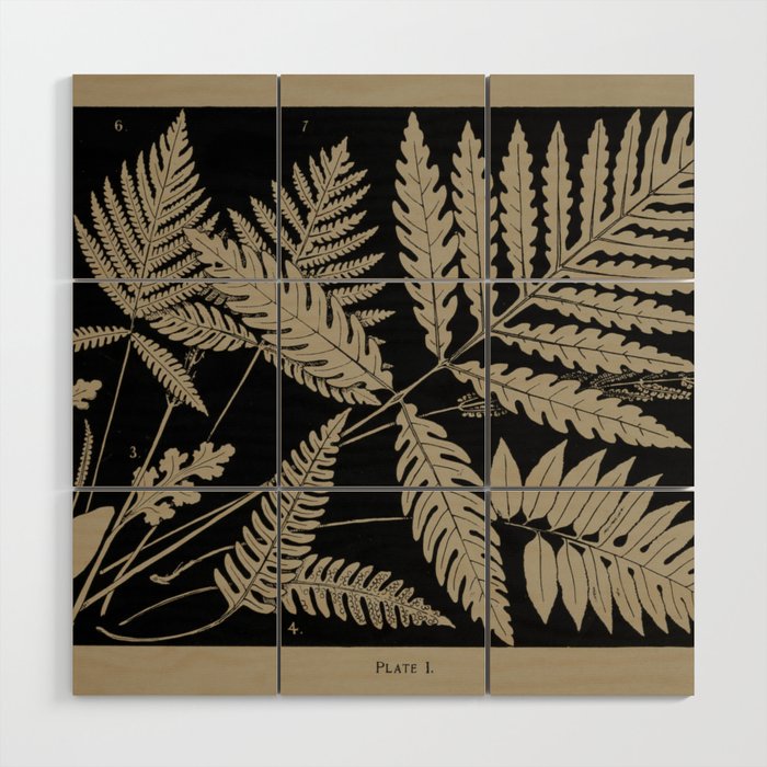 New England Ferns Wood Wall Art