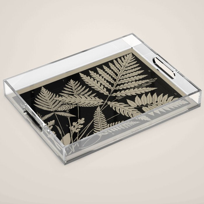 New England Ferns Acrylic Tray Gallery Image 1