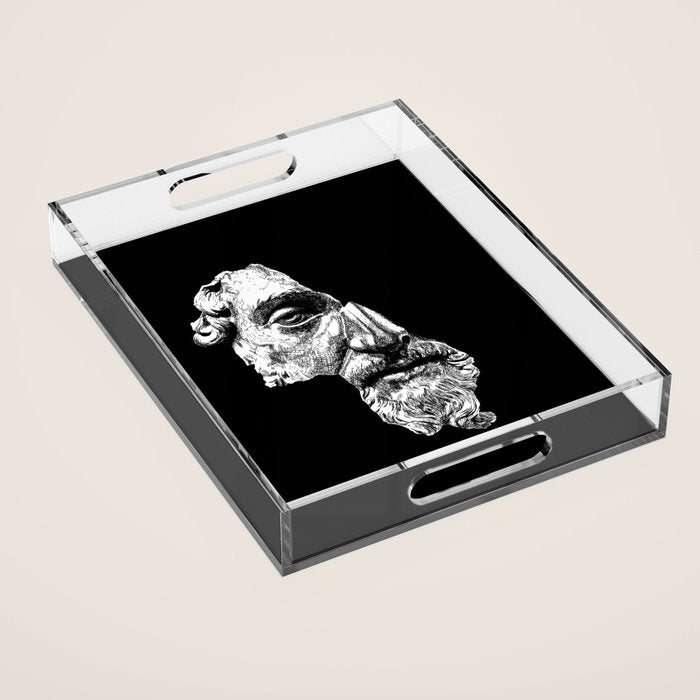 MARCUS AURELIUS ANTONINUS AUGUSTUS / White Acrylic Tray Gallery Image 1