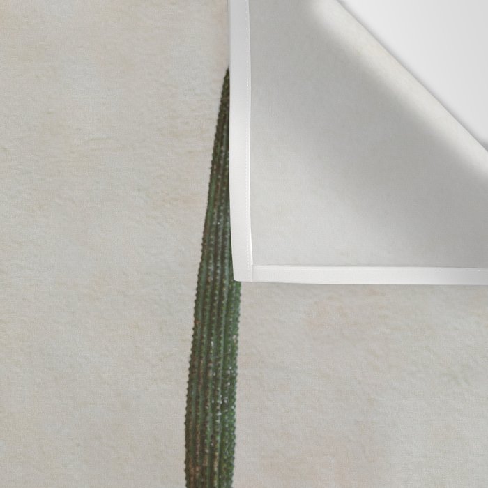 Cabo Cactus VI Wall Tapestry Gallery Image 3