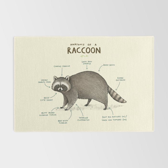 Anatomy of a Raccoon Rug Gallery Image 2