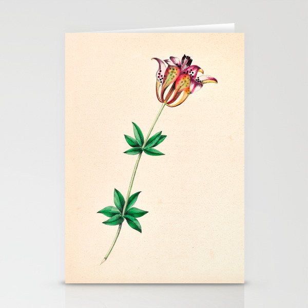  Wood lily by Clarissa Munger Badger, 1859 (benefitting The Nature Conservancy) Stationery Card Gallery Image 2