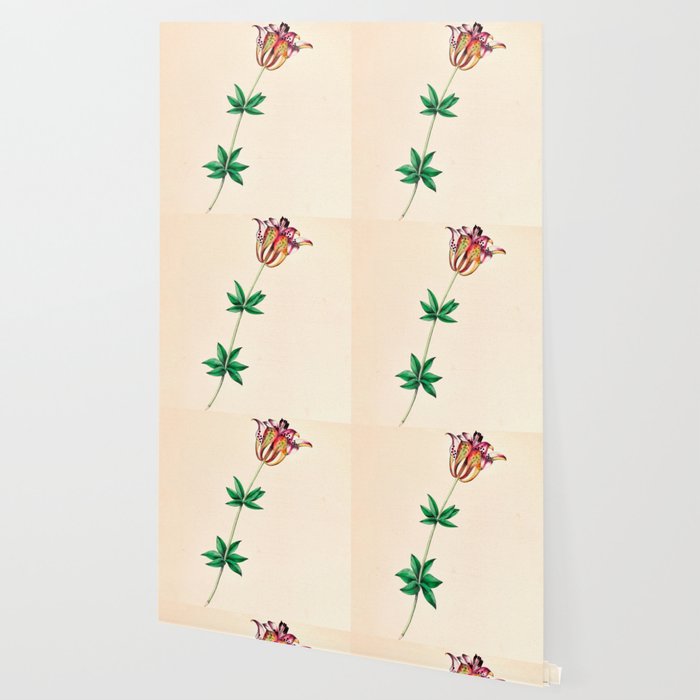  Wood lily by Clarissa Munger Badger, 1859 (benefitting The Nature Conservancy) Wallpaper Gallery Image 2