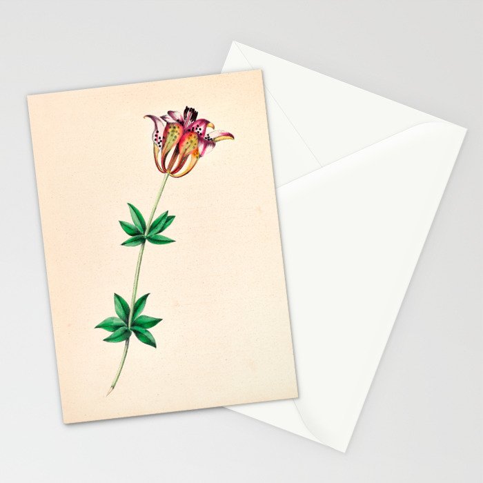  Wood lily by Clarissa Munger Badger, 1859 (benefitting The Nature Conservancy) Stationery Card Gallery Image 2