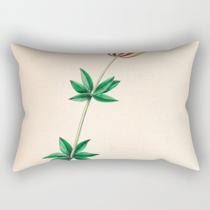  Wood lily by Clarissa Munger Badger, 1859 (benefitting The Nature Conservancy) Rectangular Pillow Gallery Image 2