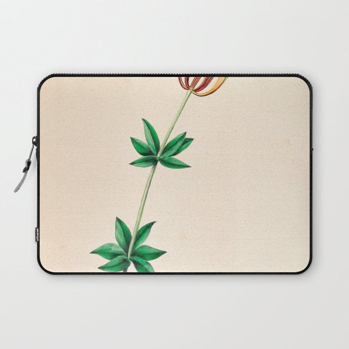  Wood lily by Clarissa Munger Badger, 1859 (benefitting The Nature Conservancy) Laptop Sleeve Gallery Image 1