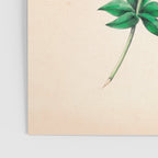  Wood lily by Clarissa Munger Badger, 1859 (benefitting The Nature Conservancy) Poster Gallery Image 3