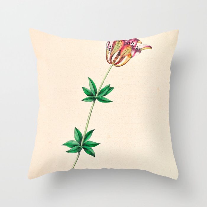  Wood lily by Clarissa Munger Badger, 1859 (benefitting The Nature Conservancy) Throw Pillow Gallery Image 6