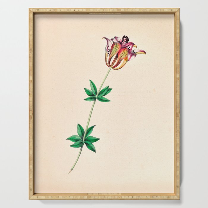  Wood lily by Clarissa Munger Badger, 1859 (benefitting The Nature Conservancy) Serving Tray Gallery Image 1