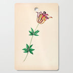  Wood lily by Clarissa Munger Badger, 1859 (benefitting The Nature Conservancy) Cutting Board Gallery Image 1