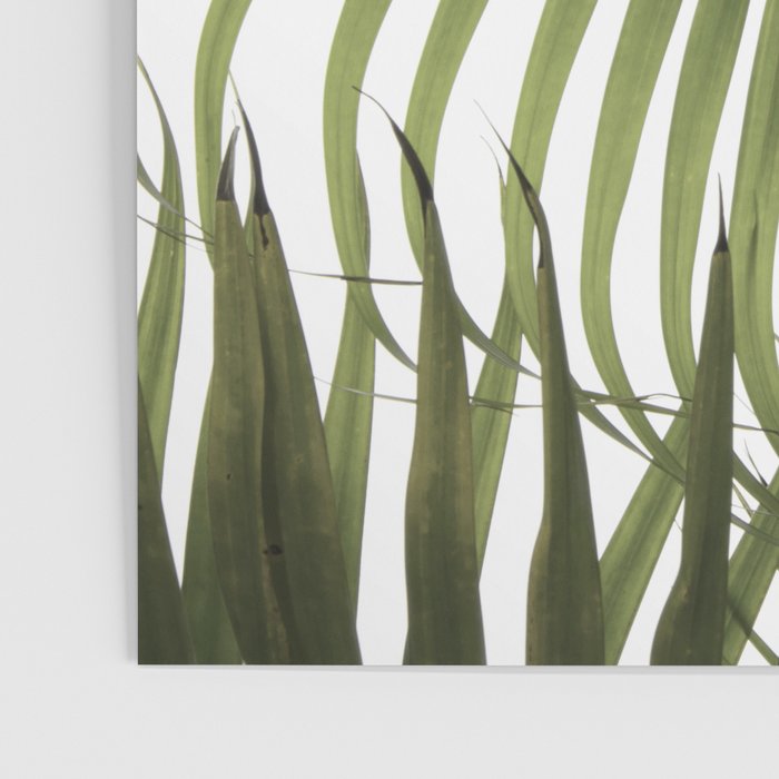 Palm Leaves Photo 01 Poster Gallery Image 3