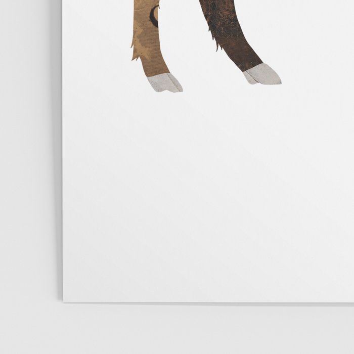 Buffalo Collage Poster Gallery Image 3