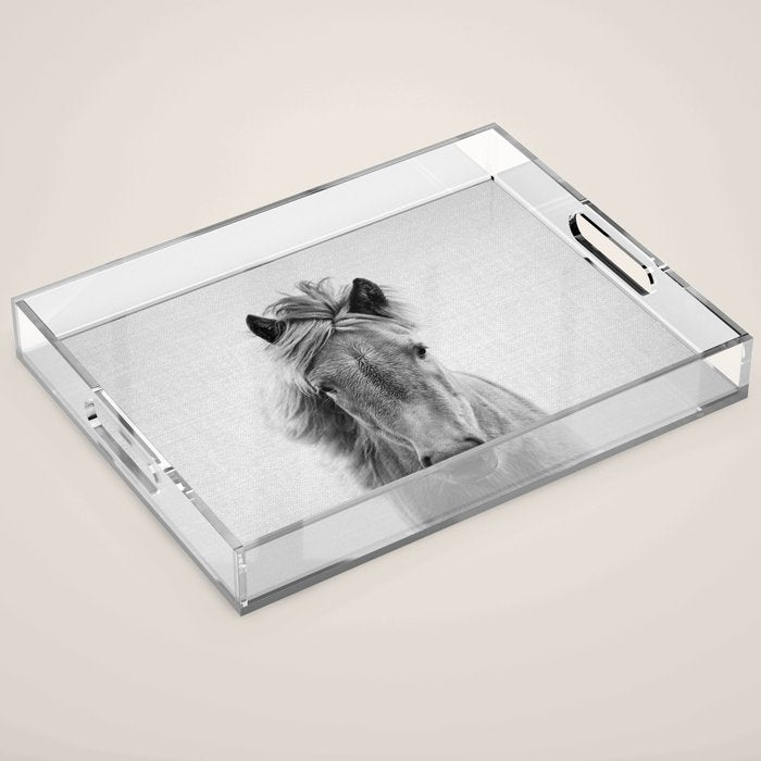 Wild Horse - Black & White Acrylic Tray Gallery Image 1