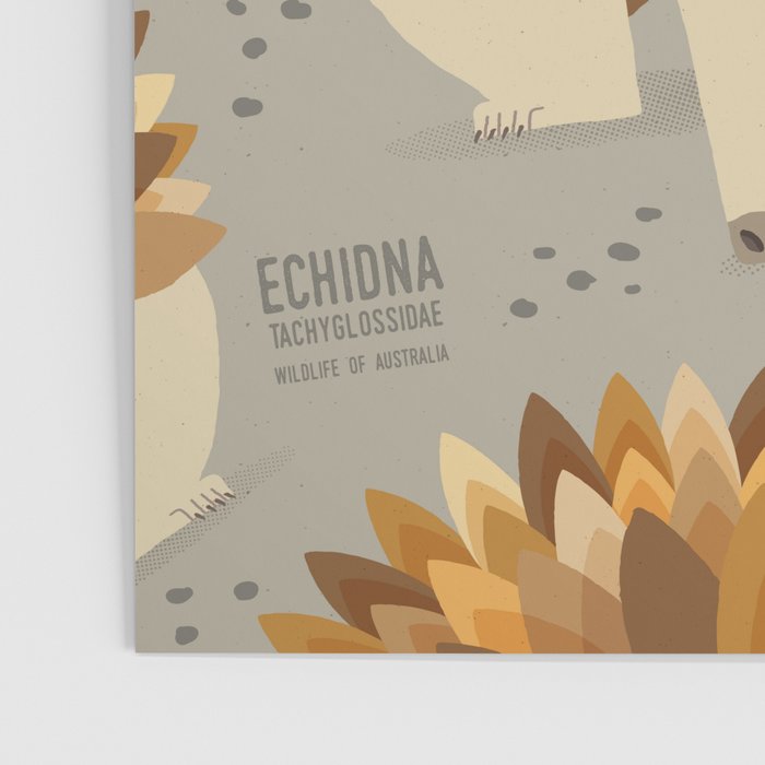 Echidna, Wildlife of Australia Poster Gallery Image 3