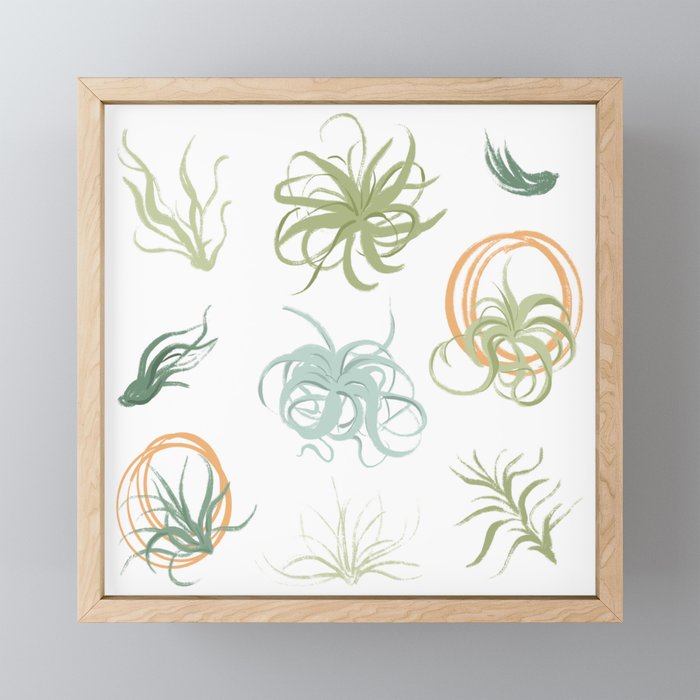 Air Plants Mini Art Print Gallery Image 1