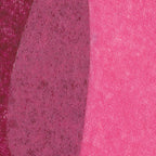 Petals #5 Coffee Mug Gallery Image 2