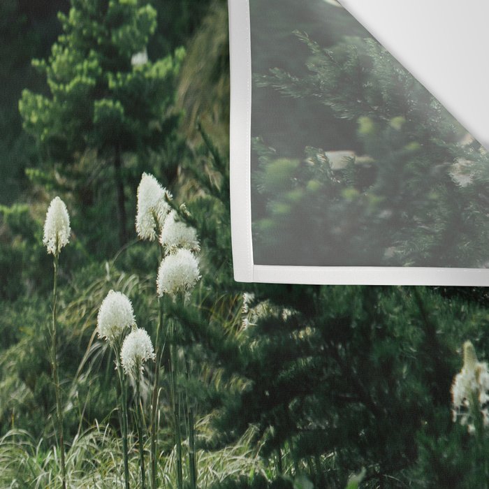 Bear Grass Trail Wall Tapestry Gallery Image 3