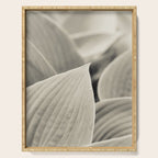 Modern Minimalist Leaf Line Botanical Photograph Serving Tray Gallery Image 1